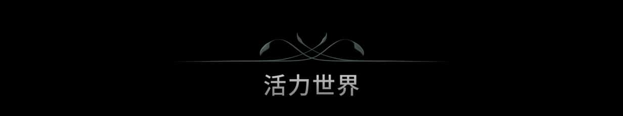 视觉数据5